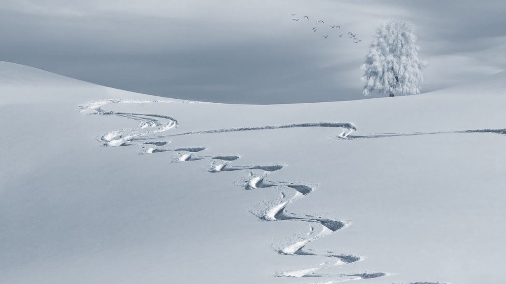 winter science experiments